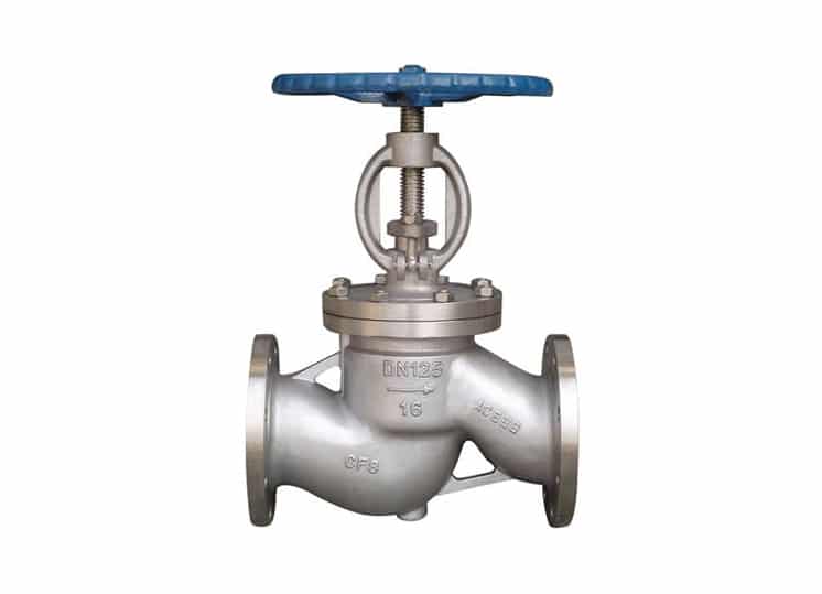 duplex steel globe valves 2