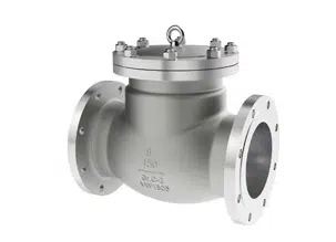 titanium check valves