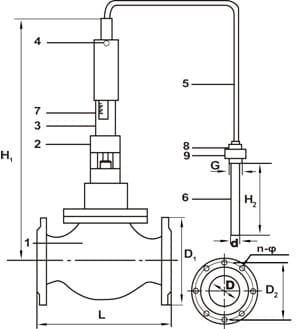 structure self actuated temperature control valve (1)