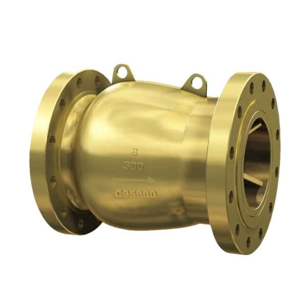 c95800 axial check valve1