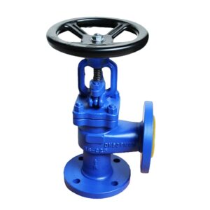 din angle globe valve