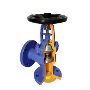 din angle globe valve