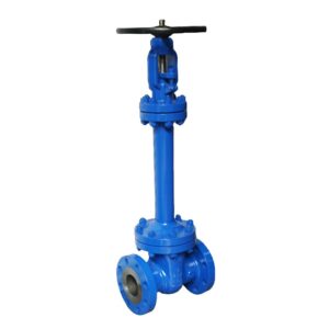 din gate valve with bellows