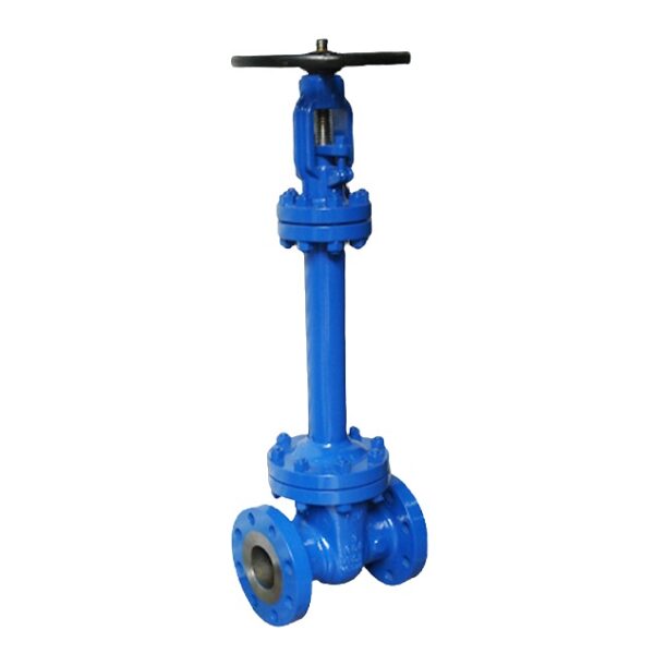 din gate valve with bellows
