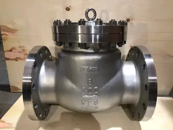 check valve