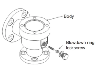 step 9 remove blowdown ring lockscrew