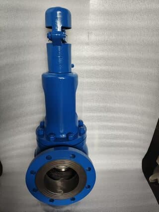 oem safety valve