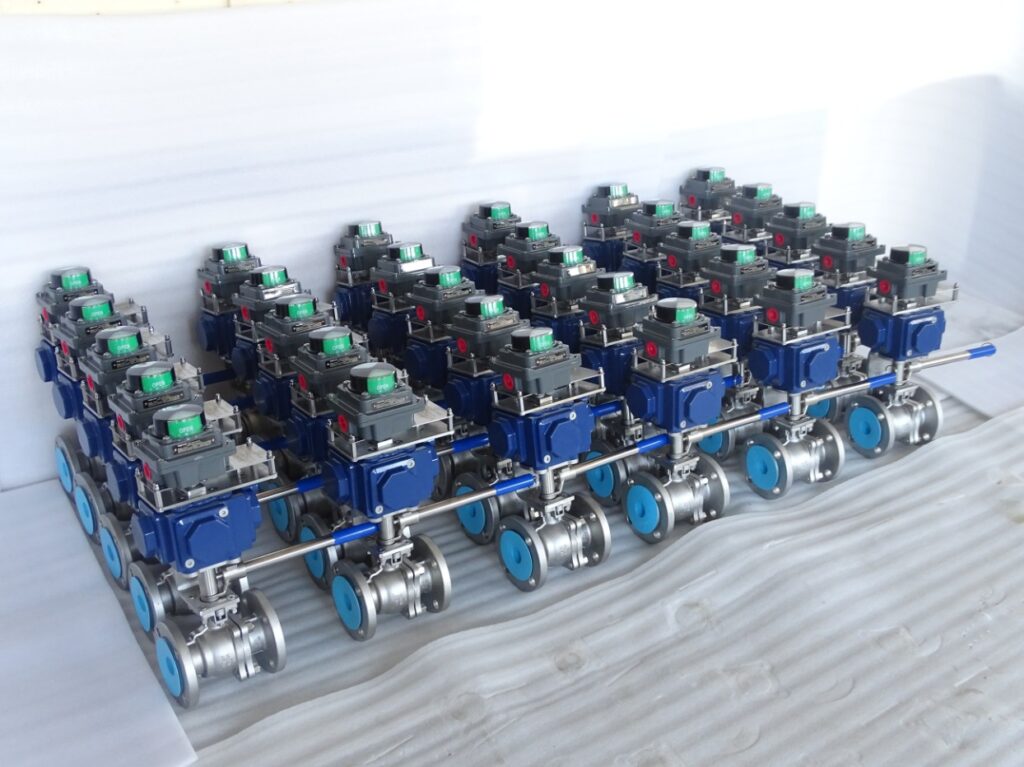 fsv 150lb s 050 (21).jpg