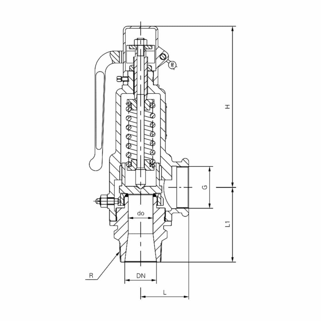 tt a27h/y spring loaded low lift threaded safety valve with lever