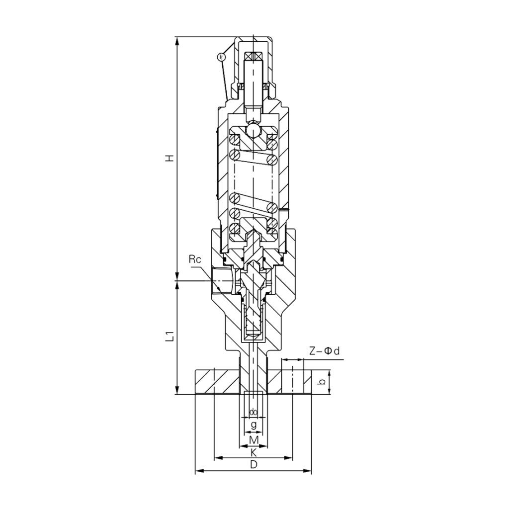 tt ya42h / ya802y high pressure liquid safety relief valve