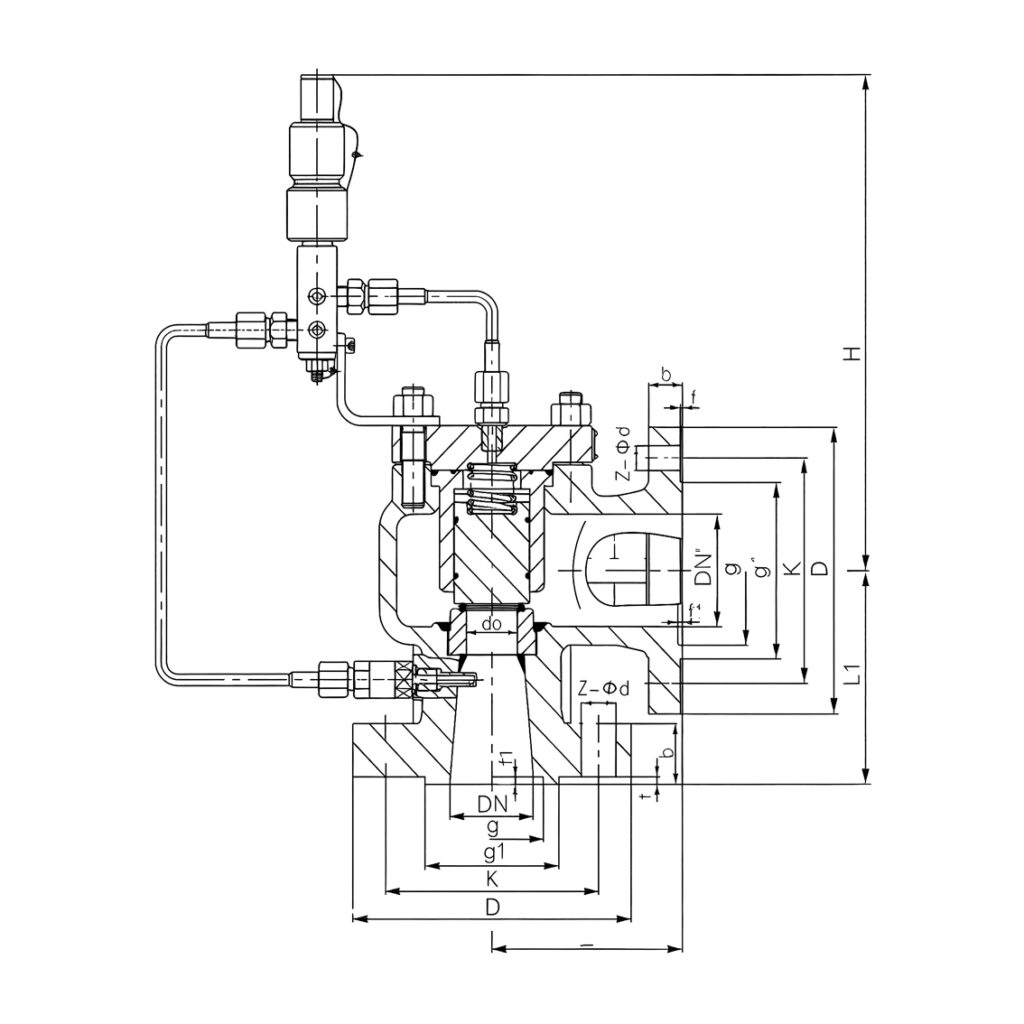 tt a46y/f pilot operated safety relief valve
