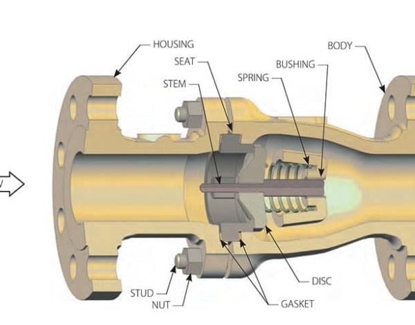 nozzle check valve